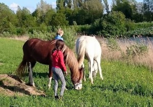 Foto Boerderij op IJburg