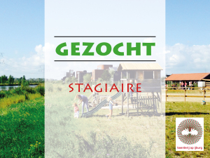 vacature stagiaire